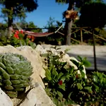 팜스테이 Casa Rosa *