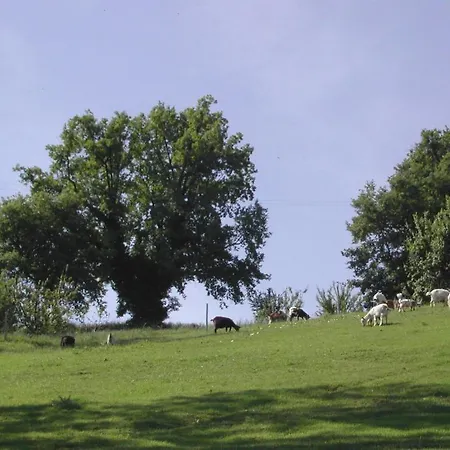 Casa Rosa Gospodarstwo agroturystyczne Offida
