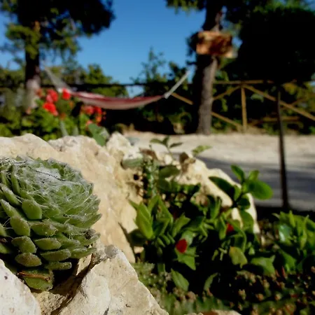 Gospodarstwo agroturystyczne Casa Rosa *